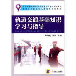 交通知識基礎(chǔ)內(nèi)容