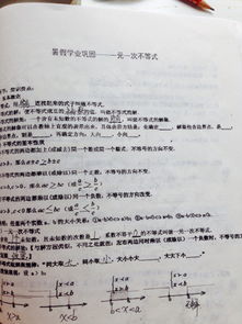 初二數(shù)學旋轉(zhuǎn)基礎知識