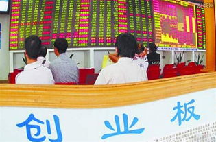 創(chuàng)業(yè)板基礎(chǔ)知識培訓(xùn)