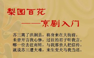 京劇基礎(chǔ)知識(shí)教學(xué)