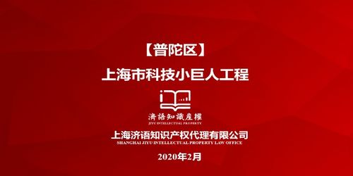 知識產(chǎn)權(quán)的基礎(chǔ)主體